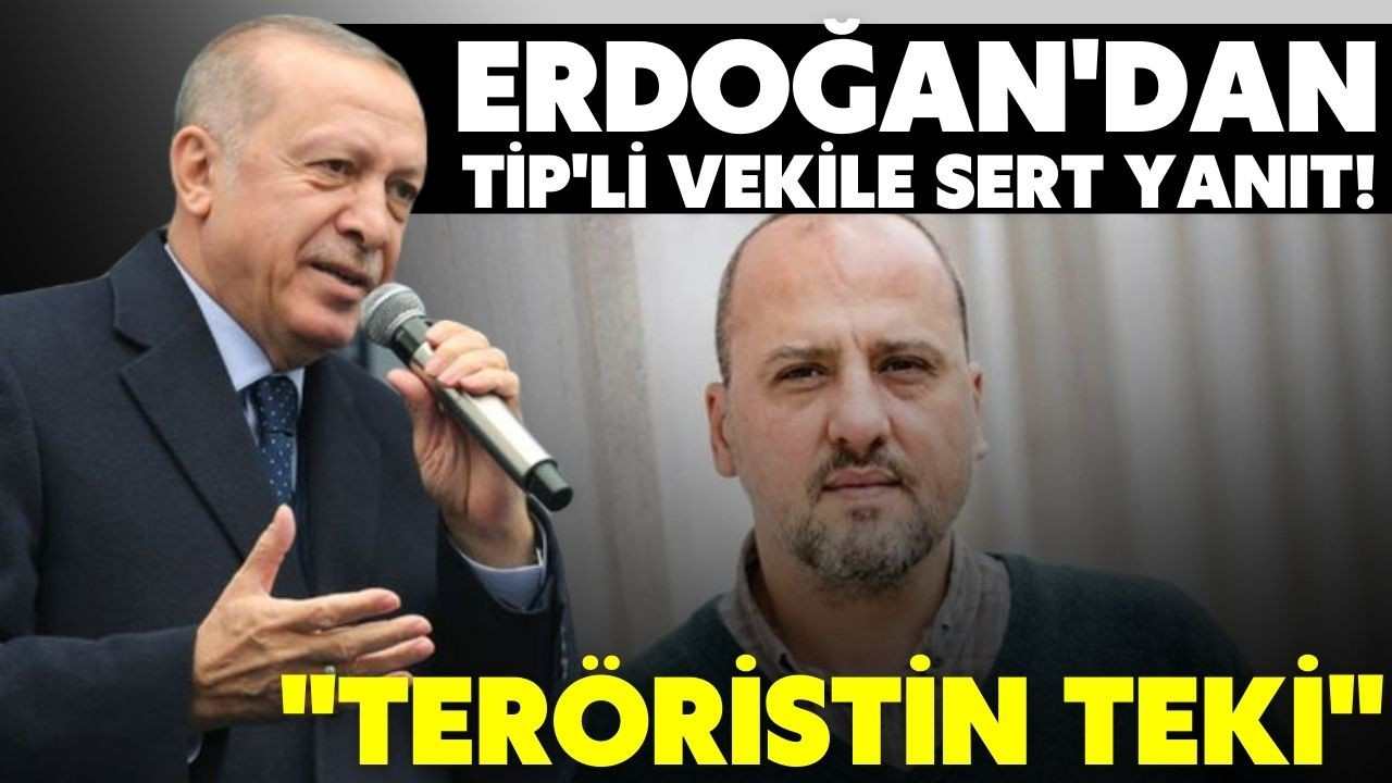 Erdoğan'dan TİP'li vekile sert yanıt!