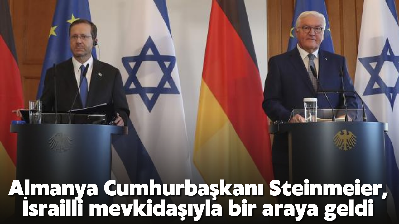 Steinmeier ve Herzog bir araya geldi