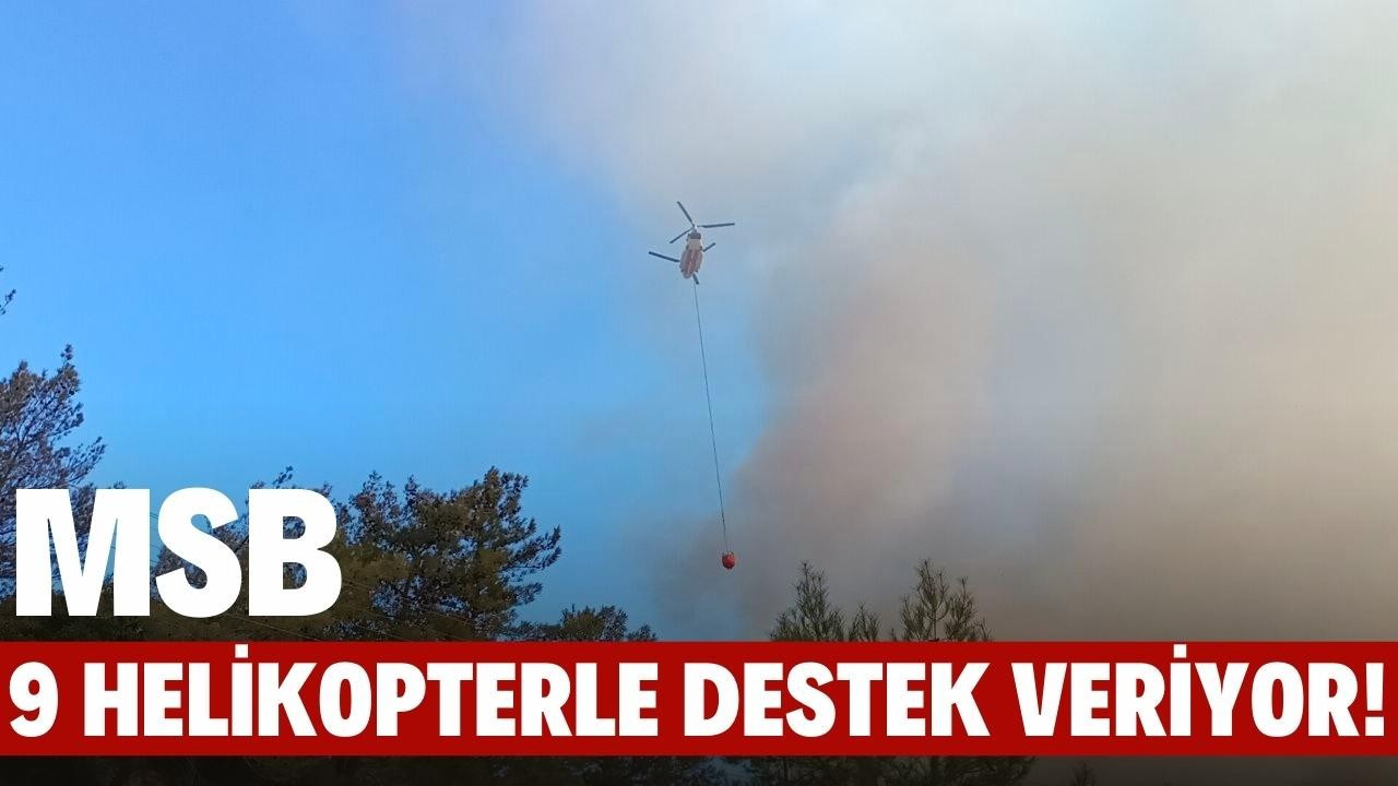 MSB, Mersin'deki orman yangınına destek veriyor!