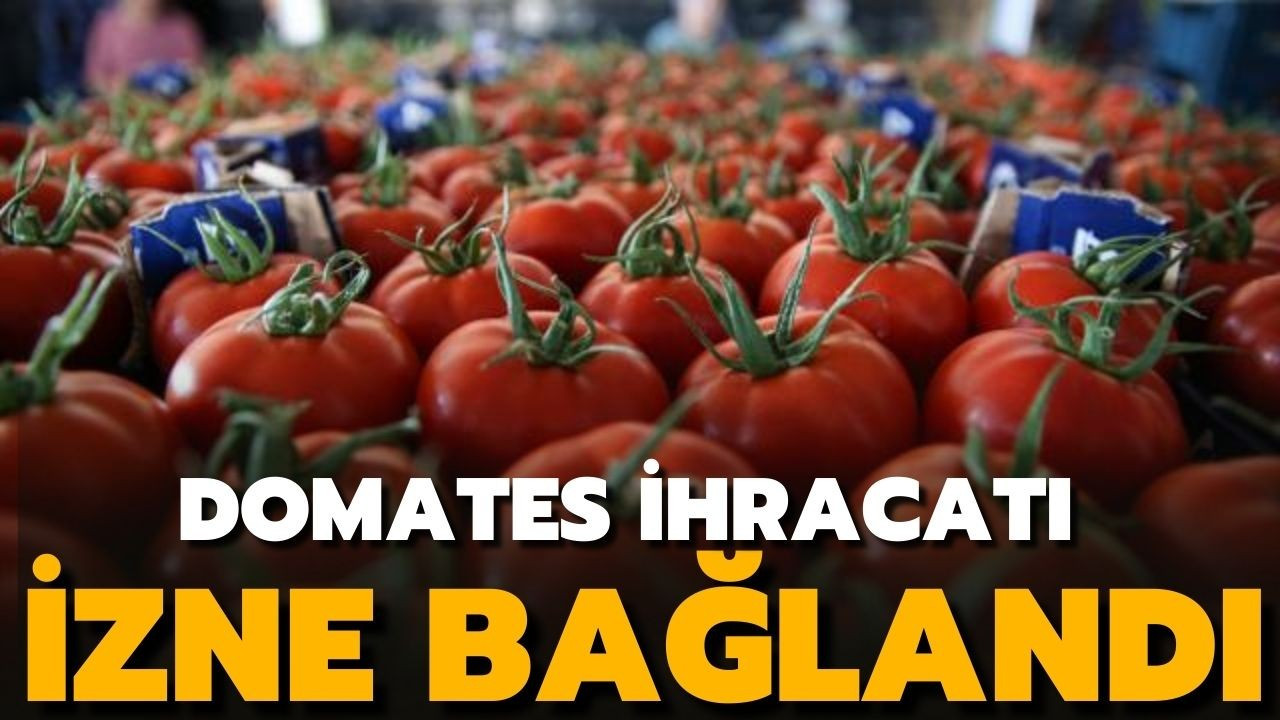 Domates ihracatı kayda bağlandı