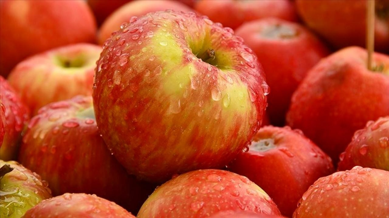 Elma üreticileri 650 bin ton rekolte bekliyor