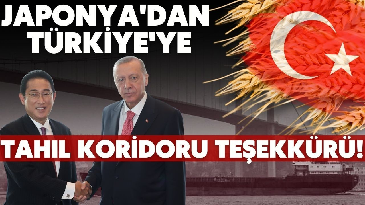 Japonya'dan, Türkiye'ye "tahıl koridoru" teşekkürü