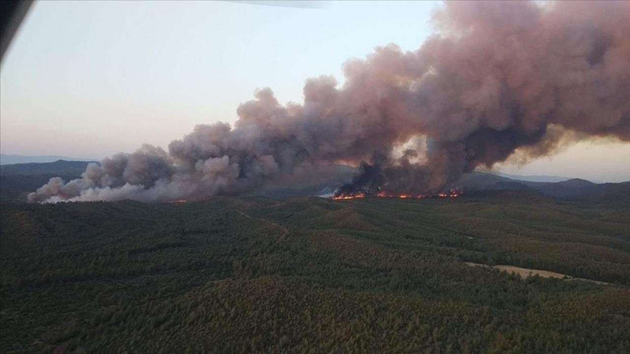 Marmaris'teki orman yangınında 500 hektar yandı