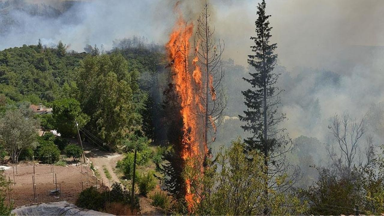 Antalya'nın Kumluca ilçesinde orman yangını çıktı