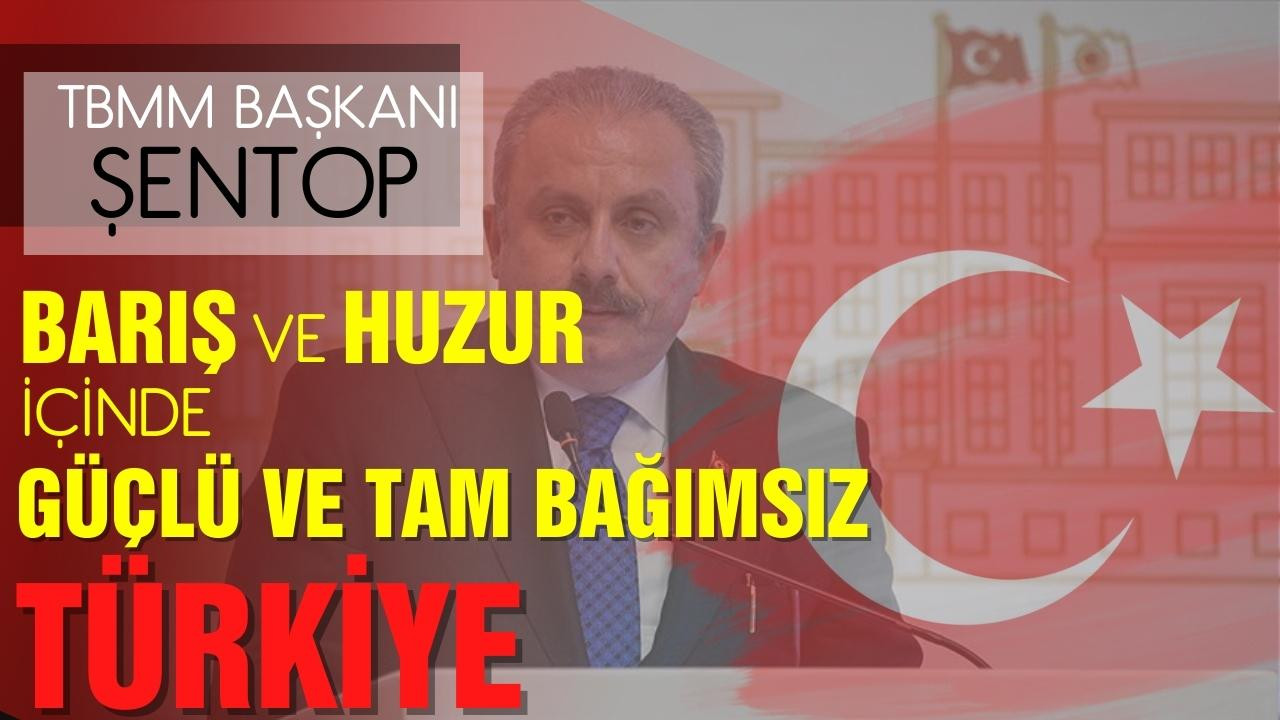 Meclis Başkanı Mustafa Şentop TBMM'de konuştu