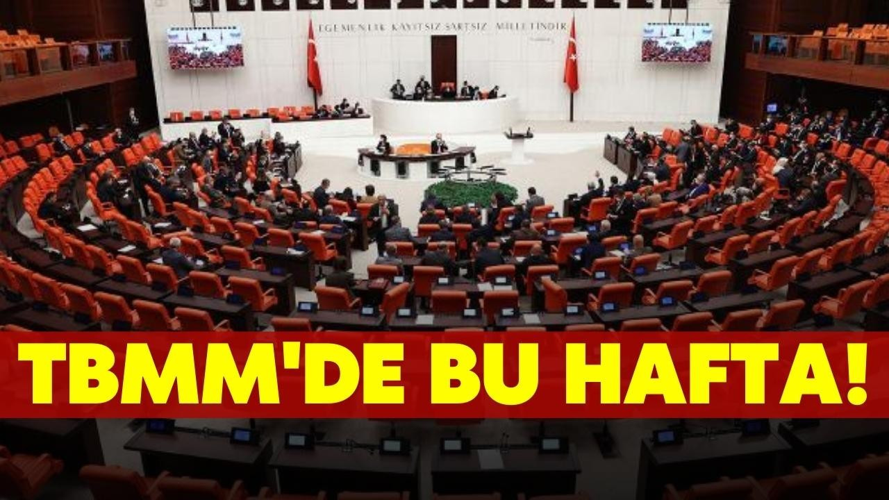 TBMM'de bu hafta!