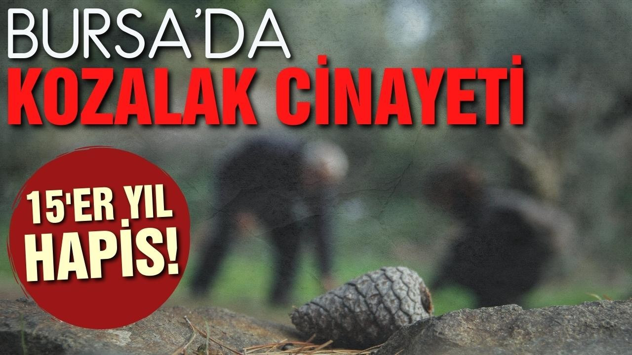 Bursa'da "kozalak" cinayeti! 15'er yıl hapis!