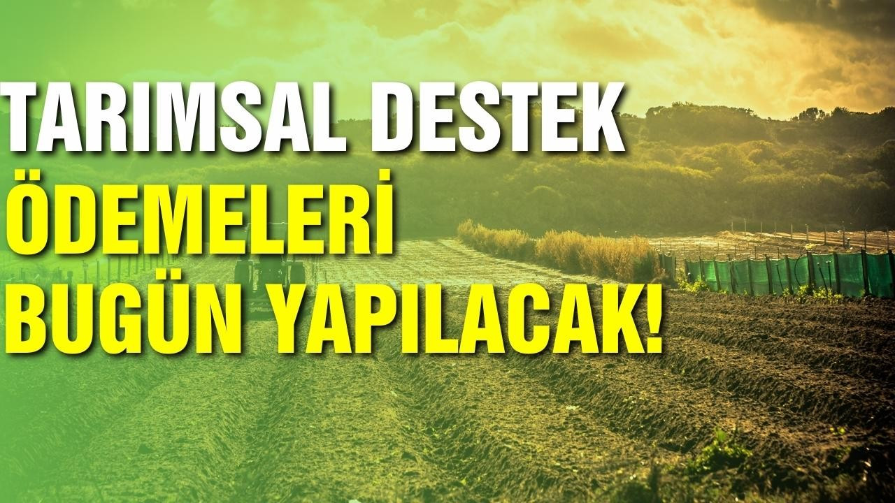 Kirişçi'den tarımsal destek ödemesi açıklaması
