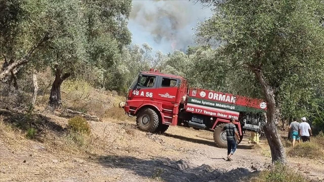 Bodrum'da çıkan yangın söndürüldü