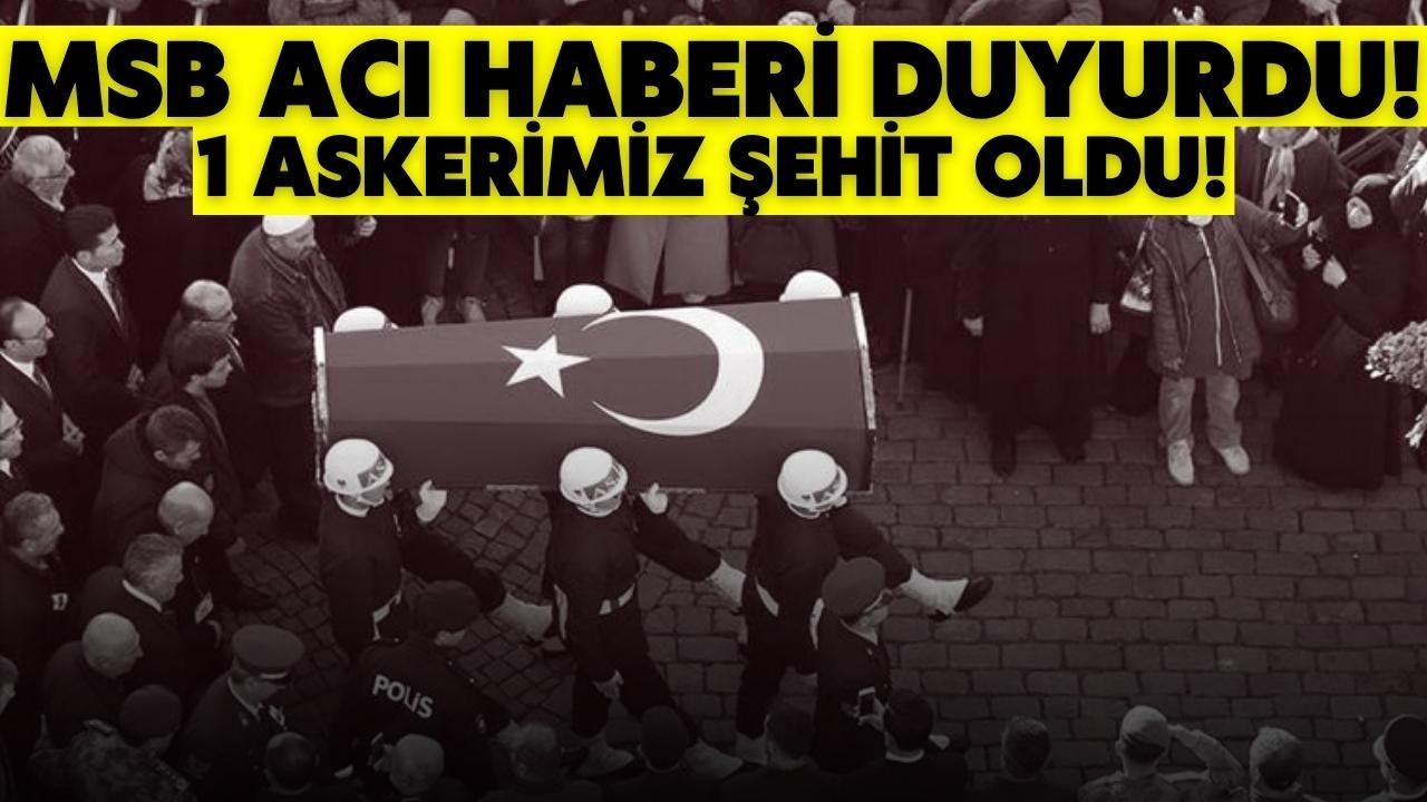 MSB acı haberi duyurdu 1 asker şehit oldu!