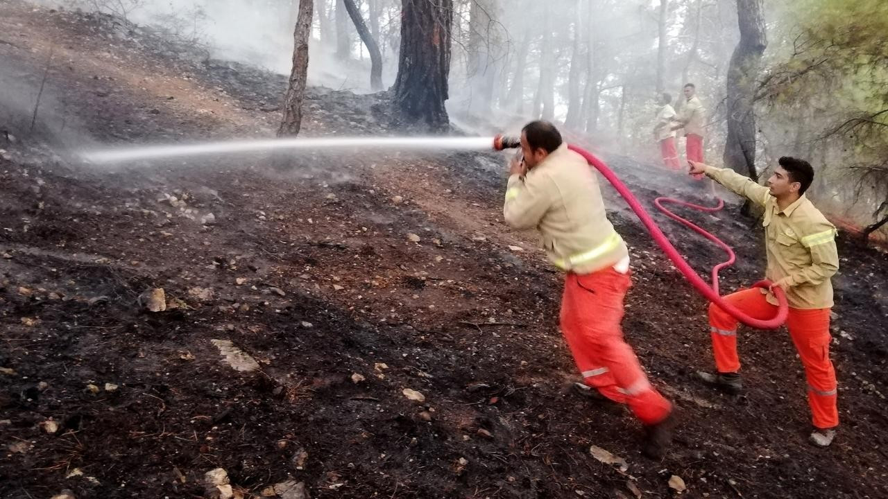 Antalya'da orman yangını kontrol altına alındı!