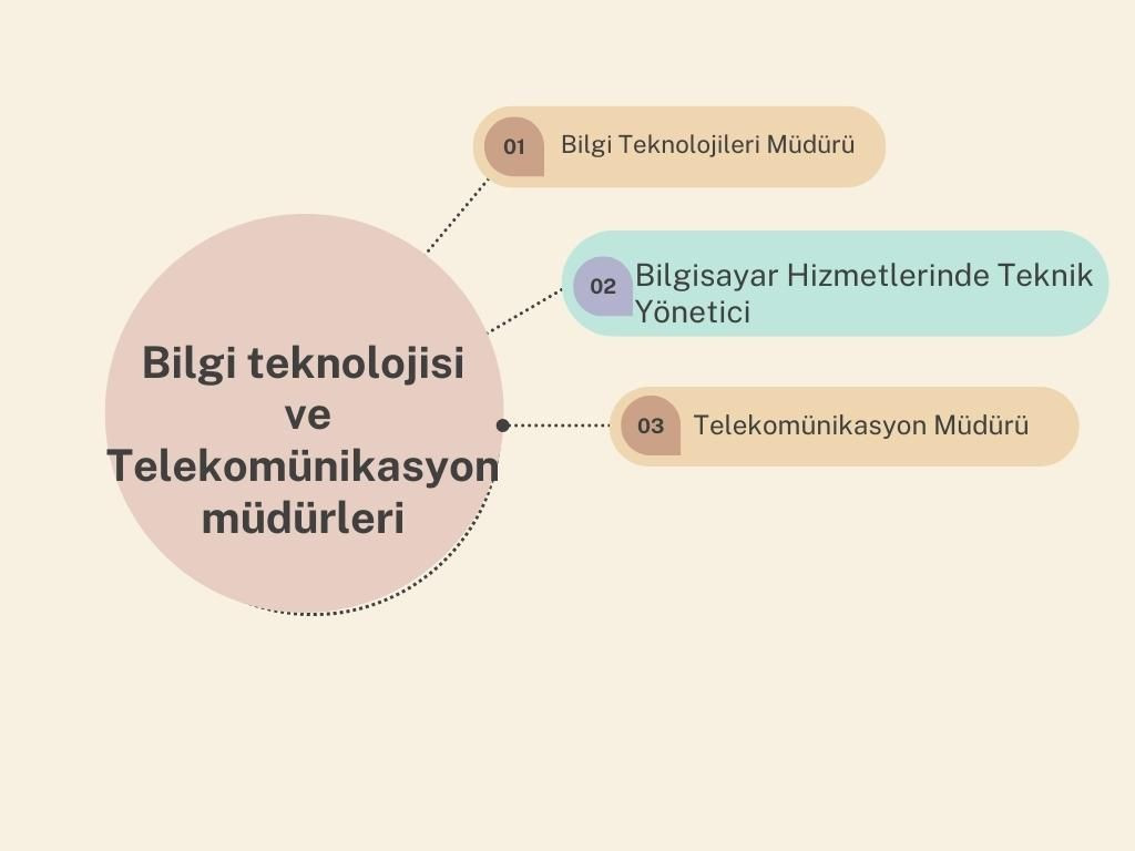 Birleşik Krallık'ta, meslekler ne kadar kazanıyor? - Sayfa 9