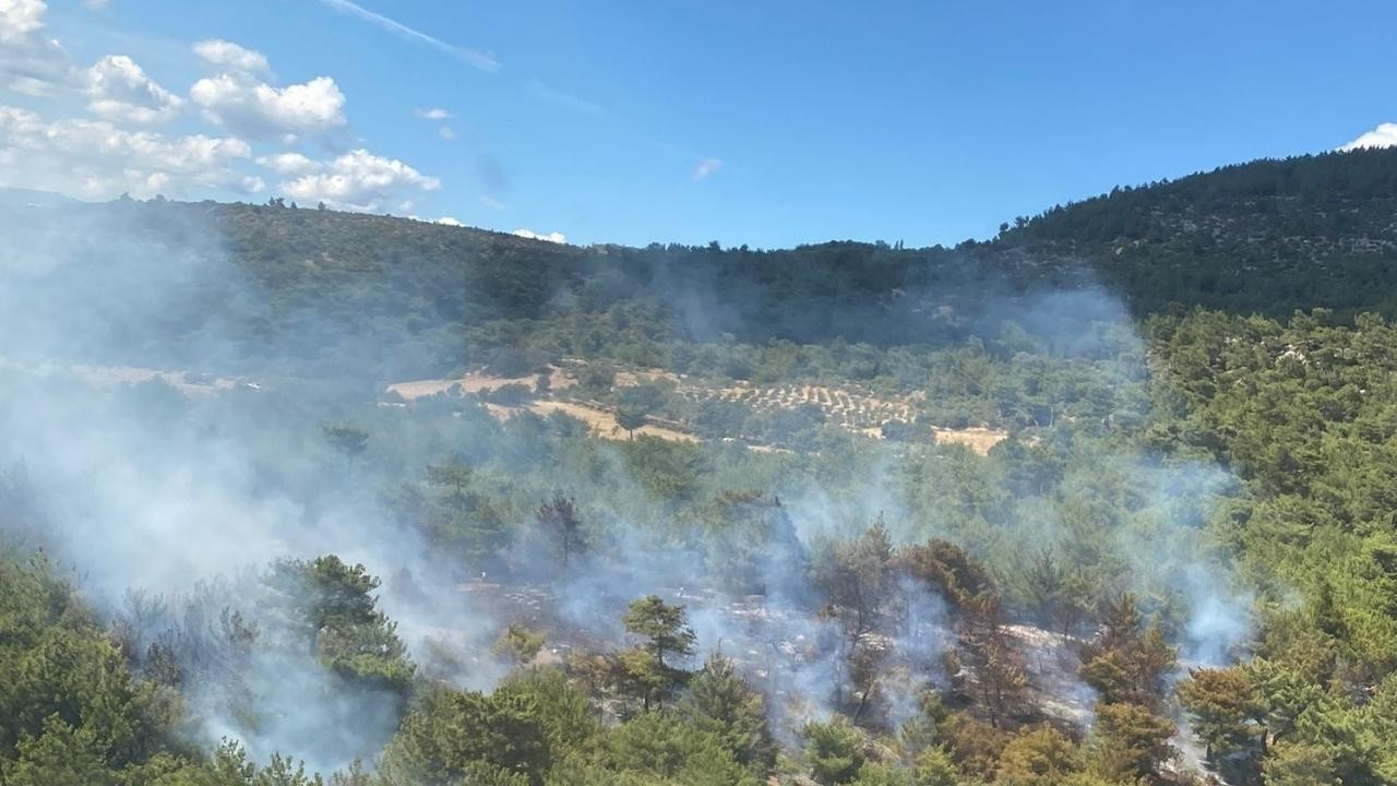 İzmir'de çıkan orman yangını söndürüldü!