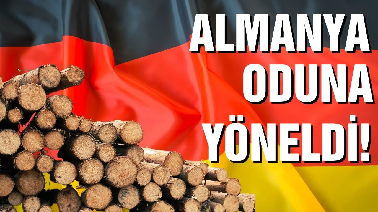 Almanlar evlerini ısıtmak için oduna yöneliyor