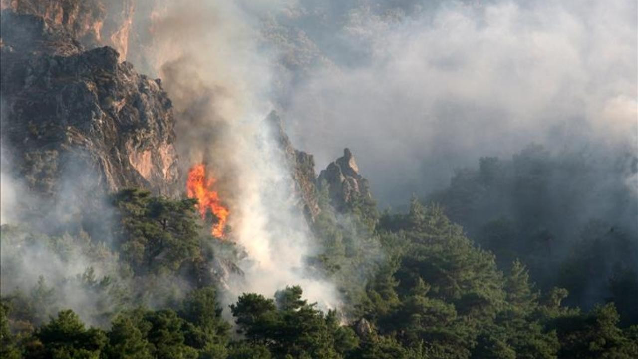 İzmir'de çıkan orman yangınına müdahale ediliyor!