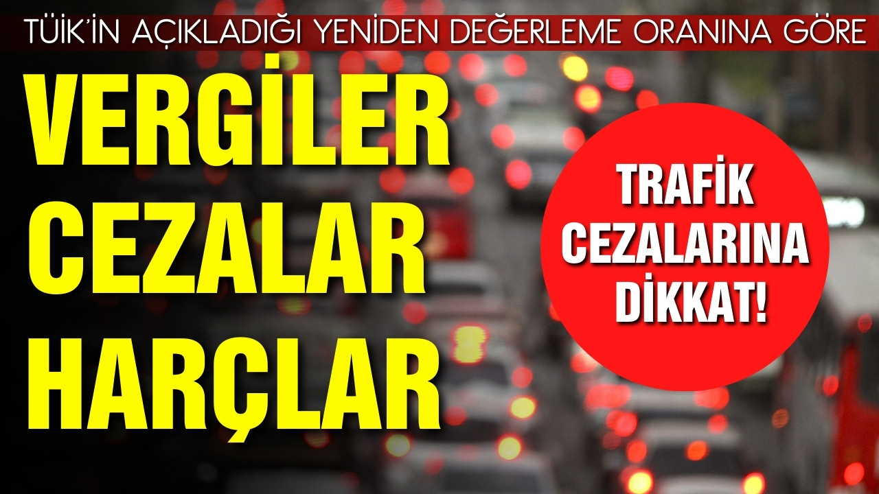 Yeni tutarlar belli oldu, trafik cezalarına dikkat