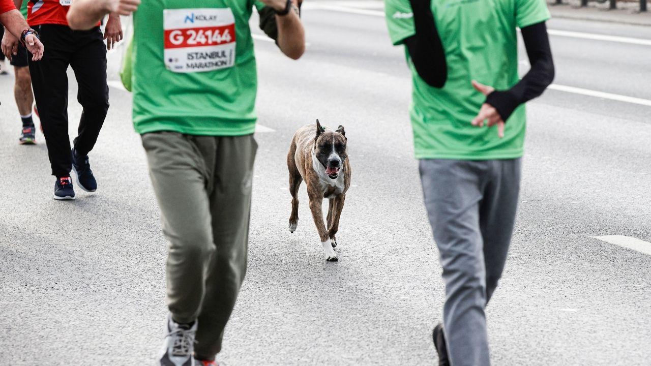 İşte İstanbul Maratonu'ndan renkli görüntüler! - Sayfa 16