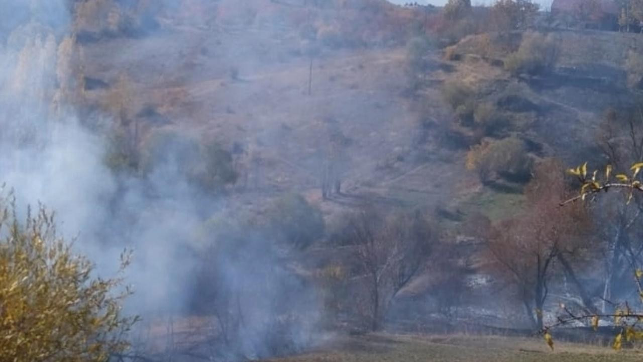 Malatya'da 5 dönümlük ormanlık alan yandı!