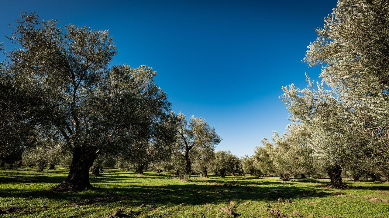 Danıştay karar verdi