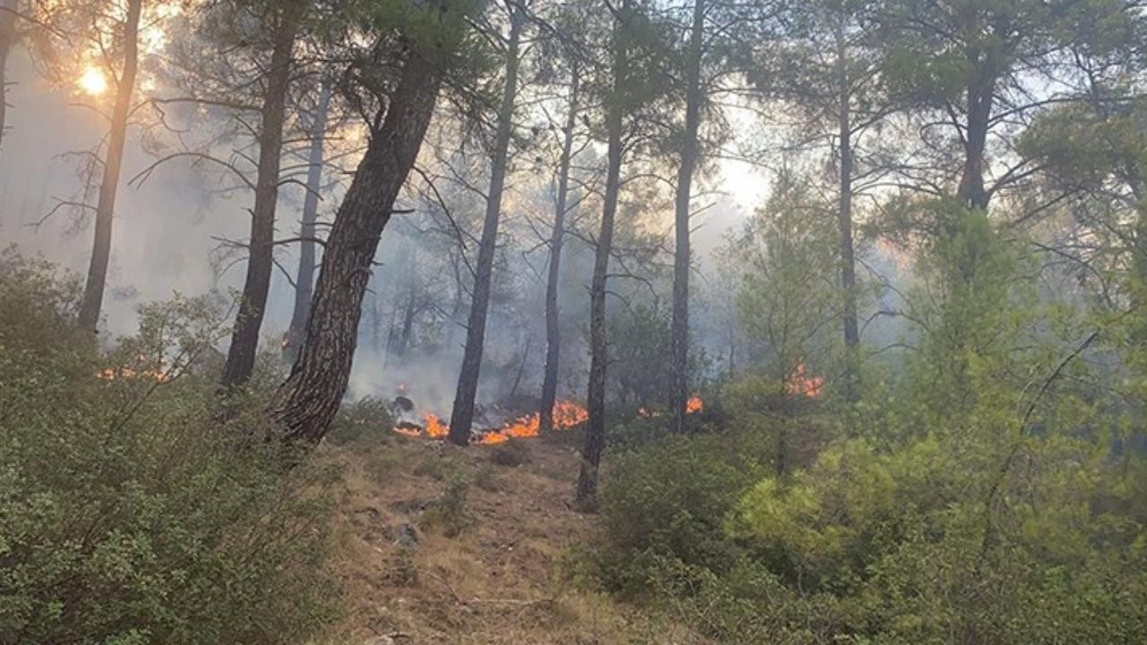 Muğla'da çıkan orman yangını söndürüldü!