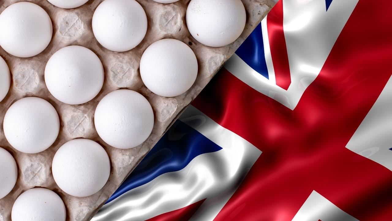 İngiltere'de yumurta krizi