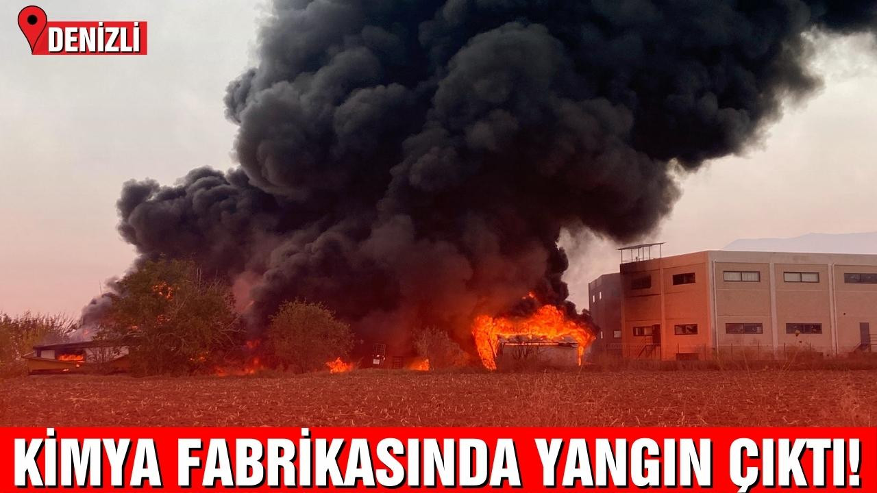 Denizli'de kimya fabrikasında yangın çıktı