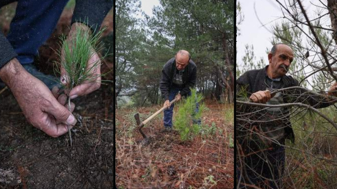 Emekli oldu, yine de ormandan kopmadı