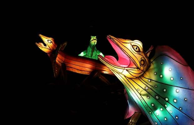 Washington'daki Smithsonian Ulusal Zooloji Parkı'ndan görüntüler - Sayfa 1