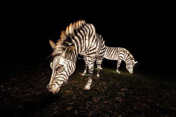 Washington'daki Smithsonian Ulusal Zooloji Parkı'ndan görüntüler - Sayfa 2