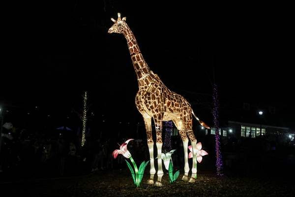 Washington'daki Smithsonian Ulusal Zooloji Parkı'ndan görüntüler - Sayfa 5