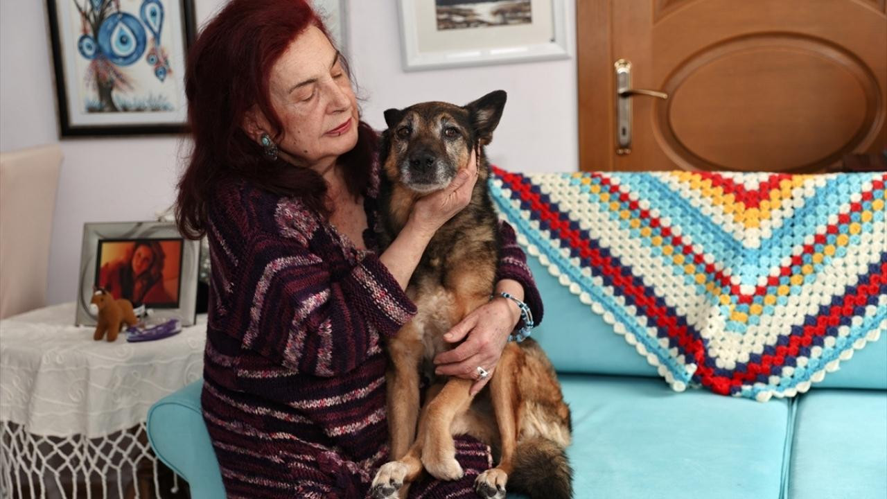 Hayatta olan en yaşlı köpek Zeynep!