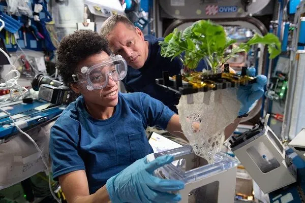 2022'de NASA en iyi uzay istasyonu fotoğraflarını  yayımladı!