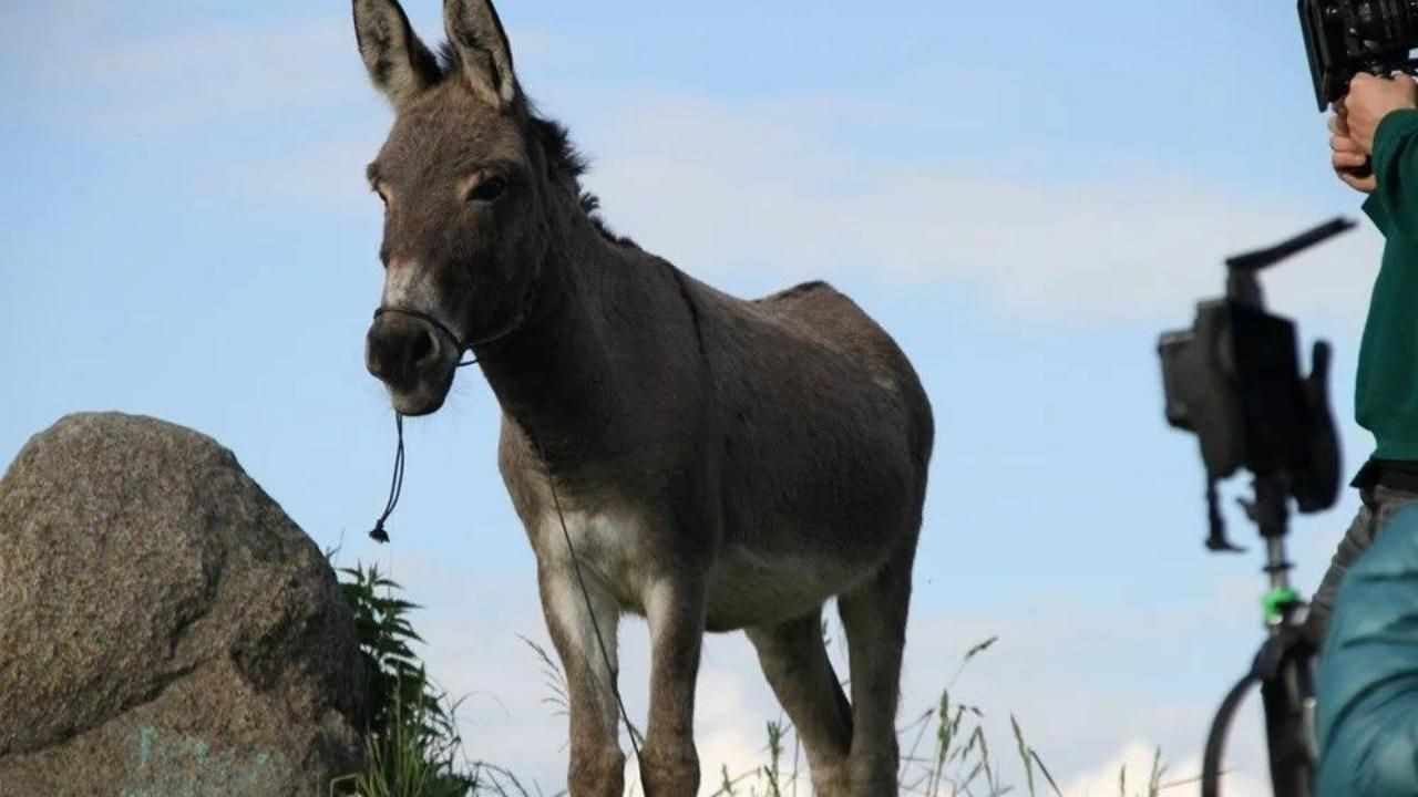 Time'a göre geçen senenin en iyi filmleri! - Sayfa 4