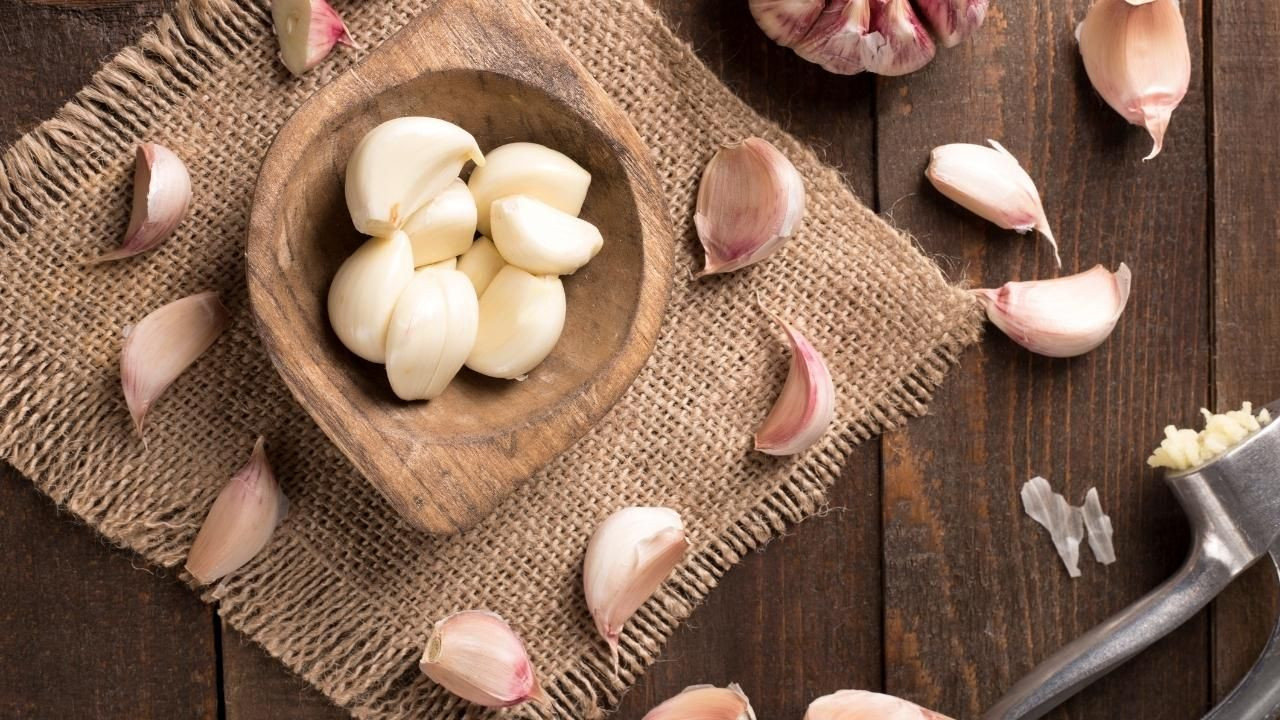 Hangi bitki çayı, neye yarar? - Sayfa 8