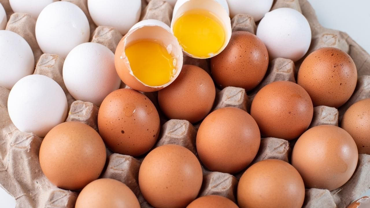 Beyaz mı, kahverengi mi? Hangi yumurta daha faydalı? - Sayfa 2