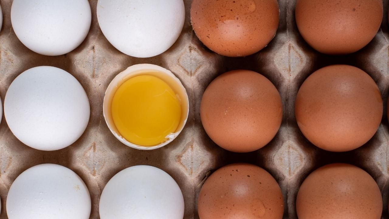 Beyaz mı, kahverengi mi? Hangi yumurta daha faydalı? - Sayfa 3