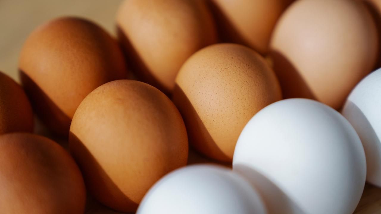 Beyaz mı, kahverengi mi? Hangi yumurta daha faydalı? - Sayfa 4