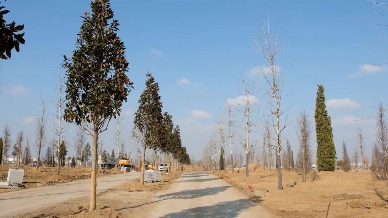 İstanbul, Atatürk Havalimanı Millet Bahçesi'ne kavuşuyor! - Sayfa 6