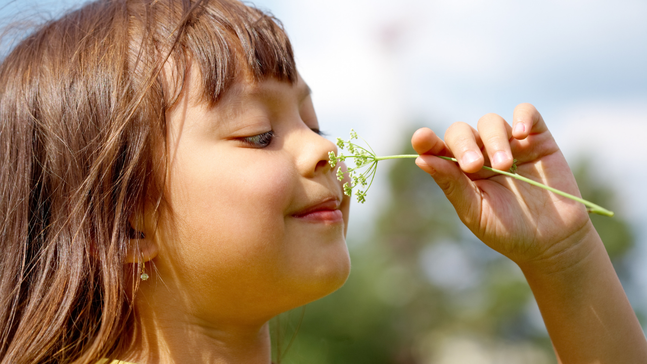 Koku duyusunu geliştirmek için 5 yöntem! - Sayfa 8