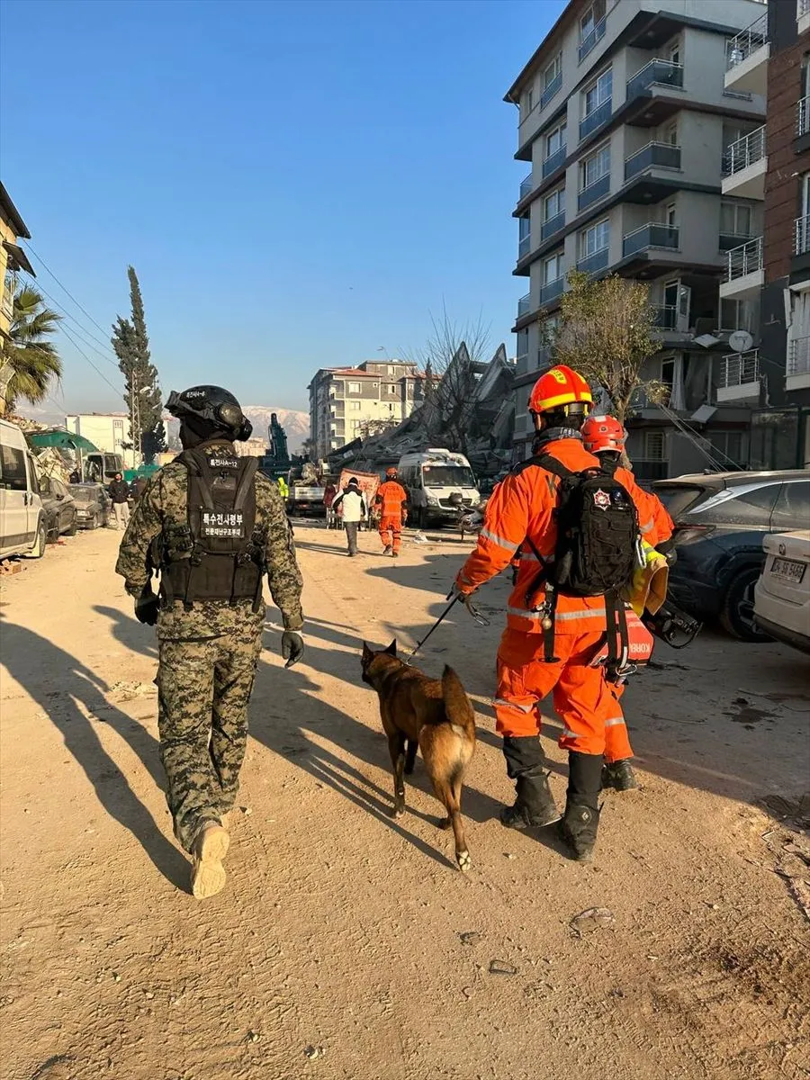 Güney Koreli 3 arama kurtarma köpeği ayaklarındaki bandajlarla çalışıyor!