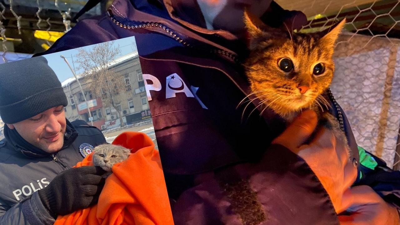 Depremde mahsur kalan kediyi polis kurtardı
