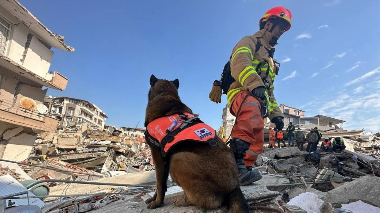 İşte Güney Kore'den gelen arama kurtarma köpekleri
