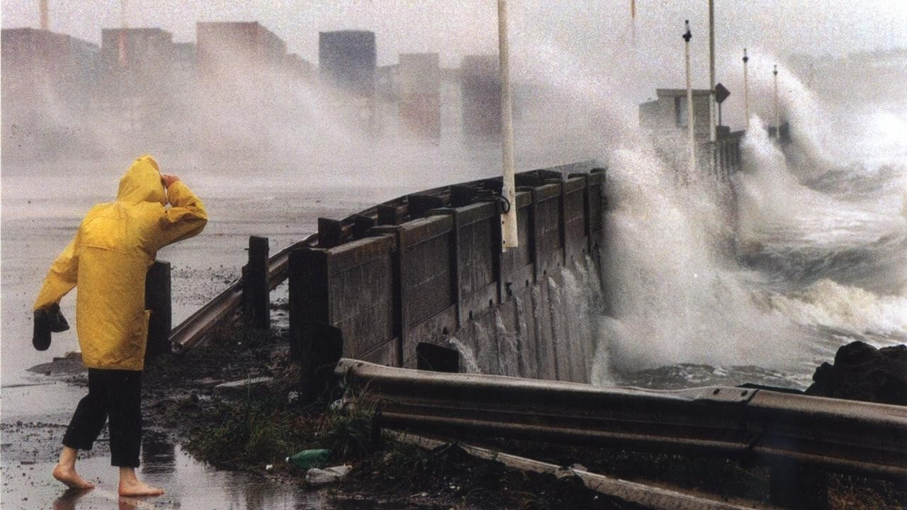 Yeni Zelanda'da kasırga felaketi