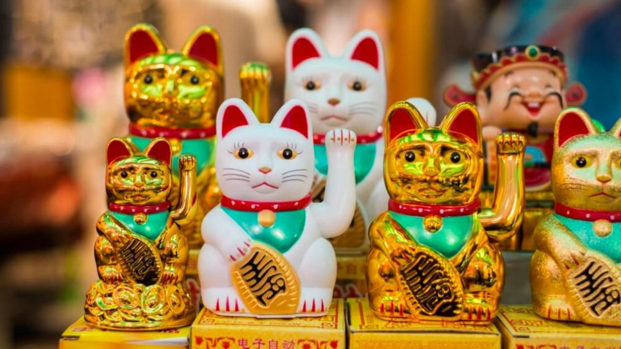 Japonya Kedi Günü'nü kutluyor