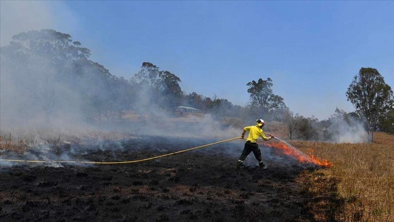 Avustralya'da 2 bin hektar alan yandı!