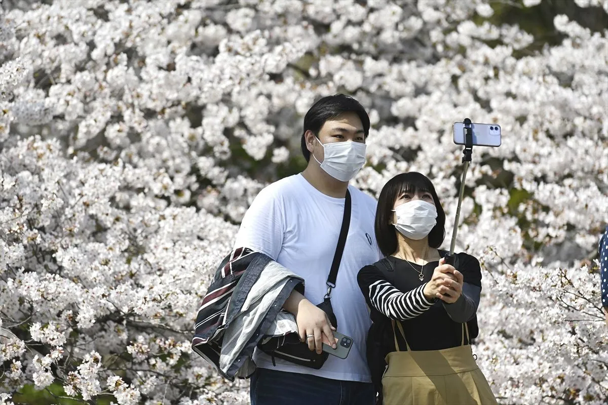 "Sakura" Japonya'nın ilkbahar başlangıcı simgesi