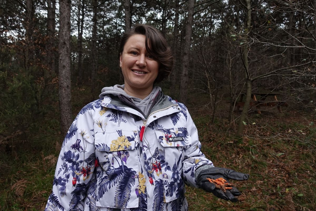 Dizilere konu olan 'zombi mantarı' İstanbul'da görüldü. - Sayfa 7