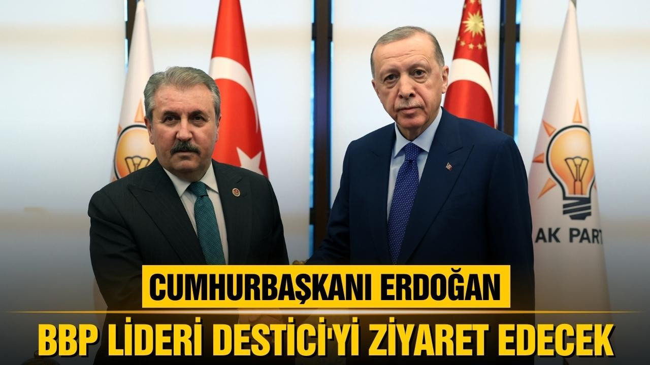 Cumhurbaşkanı Erdoğan, Destici ile görüşecek!