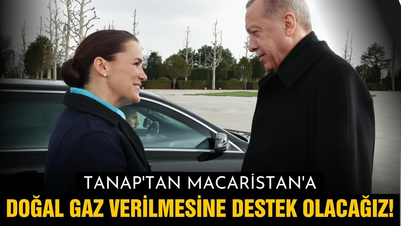 Erdoğan, Macaristan Cumhurbaşkanını ağırladı