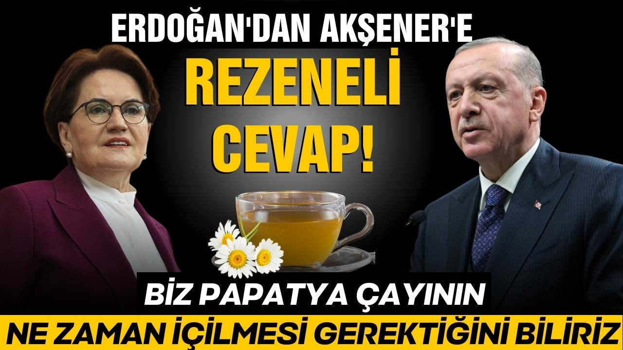 Erdoğan'dan Akşener'e "papatya çayı" göndermesi